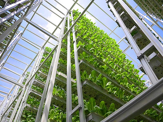 Growing “Up”: Urban Vertical Farming | Greenhome NYC