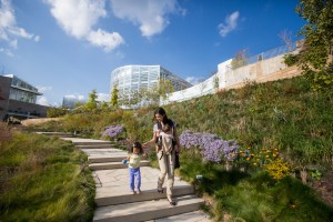Phipps Center for Sustainable Landscapes